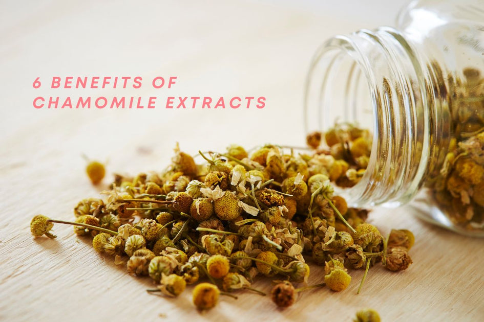 6 Benefits of Chamomile Flower Extract for Your Skin S I G I S K I N